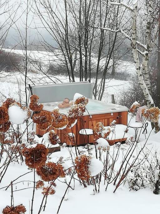 Gîte de charme pour couple avec sauna et jacuzzi extérieurs privatifs Peaugres Esterno foto